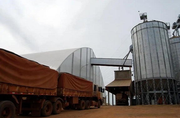粮食出入库575.jpg